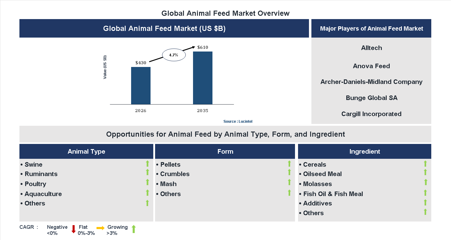 Animal Feed Market Trends and Forecast